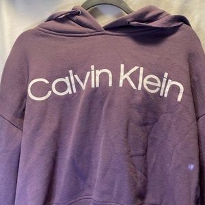 Calvin Klein Performance Cropped Hoodie